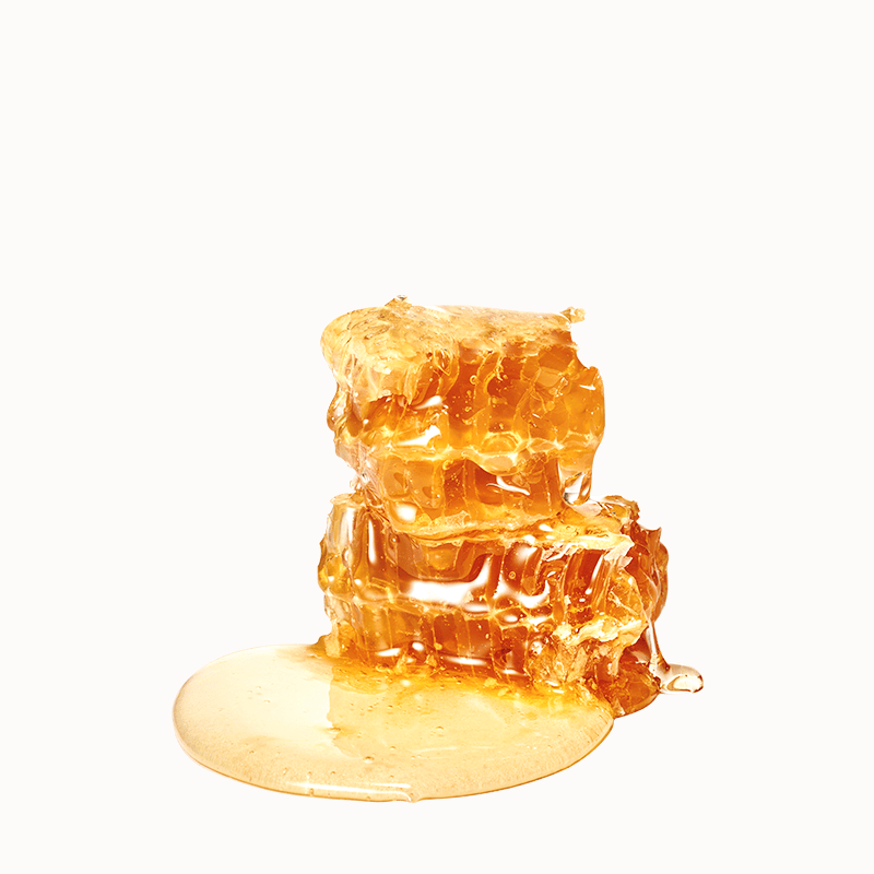 PROPOLIS