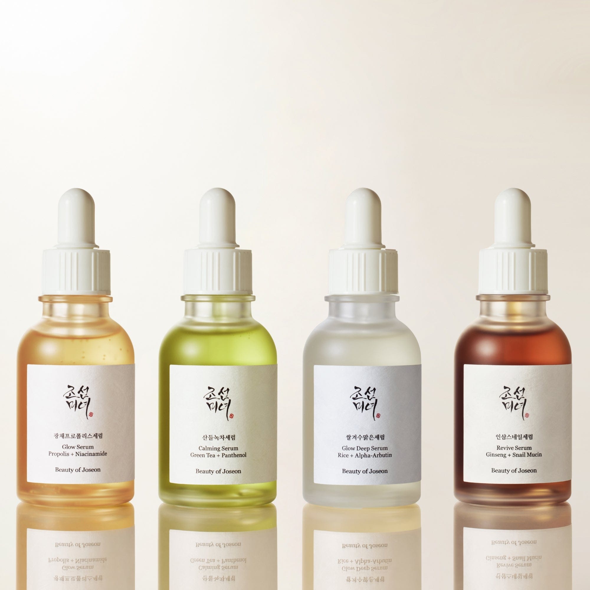 Beauty of Joseon Perfect Hanbang Palette