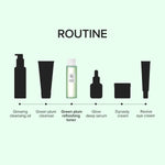 Beauty of Joseon Green Plum Refreshing Toner : AHA + BHA